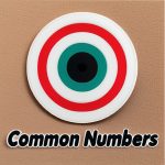 shillong teer common number